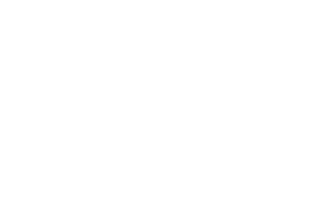 E-Commerce-Agentur: BS-Style GmbH - Logo unseres Kunden Denk Werk.