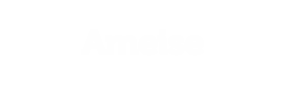 E-Commerce-Agentur BS-Style GmbH. Logo für Unterseite JTL Ameise.